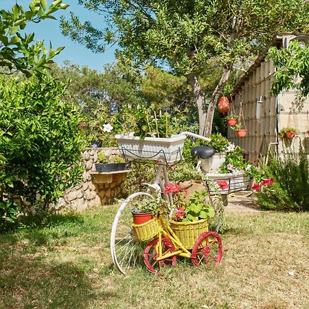 Apartments With A Parking Space Cunski, Losinj - 7867 Εξωτερικό φωτογραφία